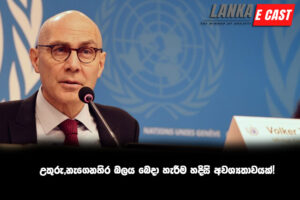 උතුරු,නැගෙනහිර බලය බෙදා හැරීම හදිසි අවශ්‍යතාවයක්!