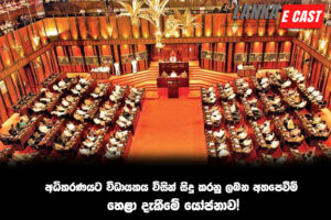 අධිකරණයට විධායකය විසින් සිදු කරනු ලබන අතපෙවීම් හෙළා දැකීමේ යෝජනාව!