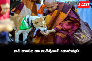 සාම පාගමන සහ සංහිඳියාවේ පොරොන්දුව!