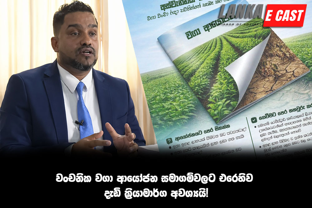 වංචනික වගා ආයෝජන සමාගම්වලට එරෙහිව දැඩි ක්‍රියාමාර්ග අවශ්‍යයි!